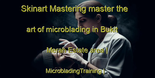 Skinart Mastering master the art of microblading in Bukit Merah Estate area | MicrobladingTraining | MicrobladingClasses | SkinartTraining-Singapore
